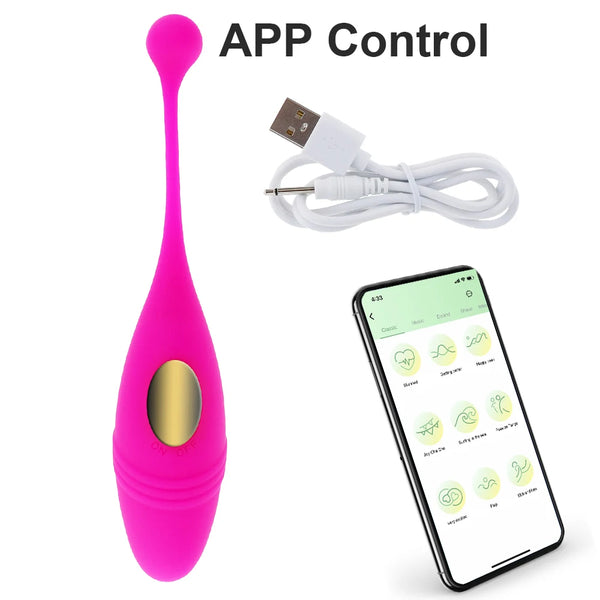Wireless Remote Vibrator