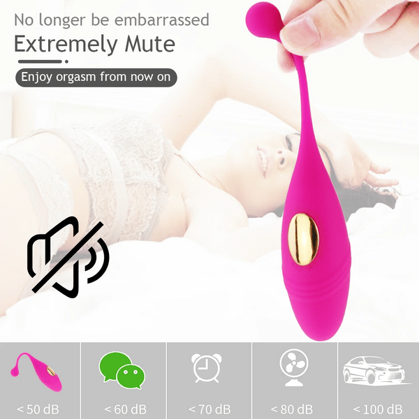 Wireless Remote Vibrator
