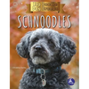 Schnoodles - Paperback