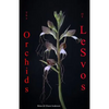 Orchids of Lesvos - Paperback