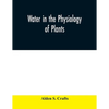 Water in the physiology of plants - Paperback