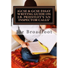 iGCSE & GCSE ESSAY WRITING GUIDE ON J.B. PRIESTLEY'S AN INSPECTOR CALLS: Especially for assignments on social attitudes & collective responsibility - Paperback