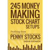 245 Money Making Stock Chart Setups: Profiting from Penny Stocks - Paperback