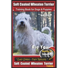 Soft Coated Wheaten Terrier Training Book for Dogs & Puppies by BoneUp Dog Training: Are You Ready to Bone Up? Simple Steps Fast Results Soft Coated W - Paperback