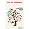 Youth and Their Families: A Guide to Treating Adolescent Substance Use Through Family Systems Therapy - Paperback