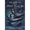 Drawn Up From Deep Places - Paperback