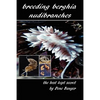 Breeding Berghia Nudibranches the best kept secret - Paperback