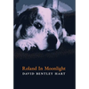 Roland in Moonlight - Hardcover