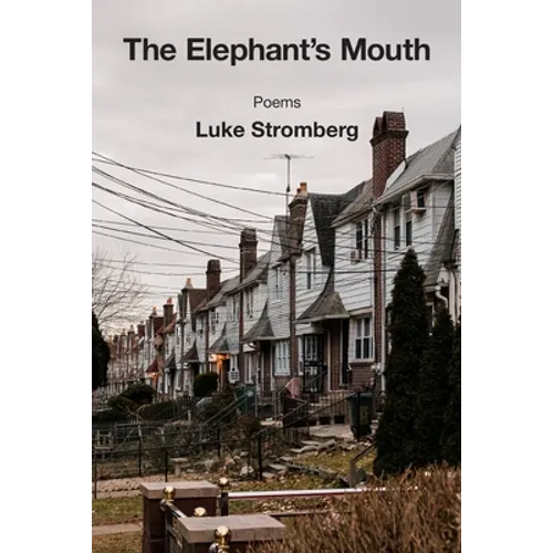 The Elephant's Mouth - Paperback