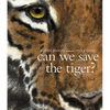 Can We Save the Tiger? - Paperback