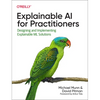 Explainable AI for Practitioners: Designing and Implementing Explainable ML Solutions - Paperback