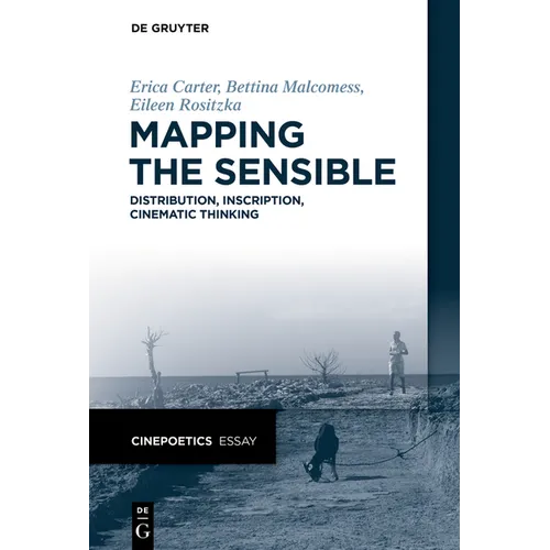 Mapping the Sensible: Distribution, Inscription, Cinematic Thinking - Paperback