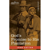 God's Promise to His Plantation - Paperback