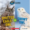 Spotted Eagle-Owl or Snowy Owl (Wild World: Hot and Cold Animals): Volume 3 - Paperback