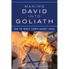 Making David Into Goliath: How the World Turned Against Israel - Hardcover