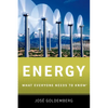 Energy: What Everyone Needs to Know(r) - Paperback