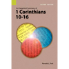 An Exegetical Summary of 1 Corinthians 10-16, 2nd Edition - Paperback