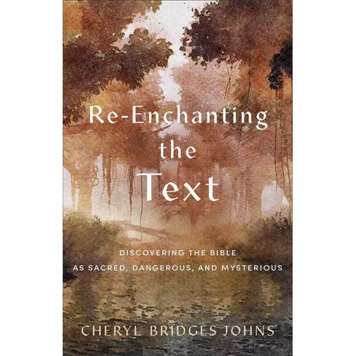 Re-Enchanting the Text: Discovering the Bible as Sacred, Dangerous, and Mysterious - Paperback