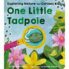 One Little Tadpole: Exploring Nature for Curious Kids - Board Book