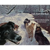 Tails from the Bush: Another Black Bear Sled Dog Adventure - Hardcover