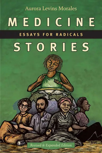 Medicine Stories: Essays for Radicals - Paperback