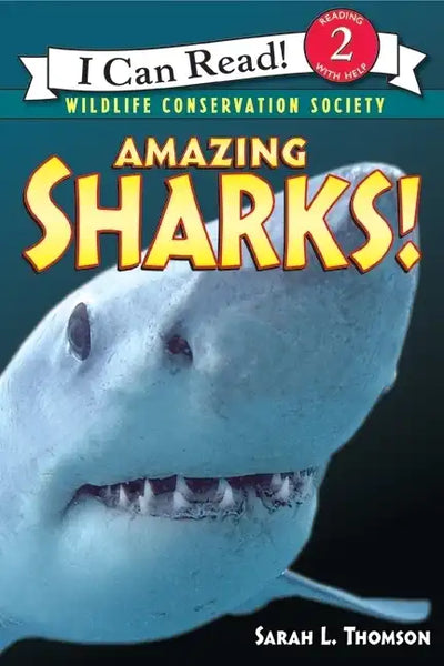 Amazing Sharks! - Paperback