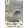 Stumbling In - Paperback