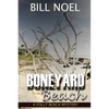 Boneyard Beach: A Folly Beach Mystery - Paperback