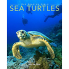 Sea Turtles: Amazing Pictures & Fun Facts on Animals in Nature - Paperback