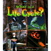 What Is a Life Cycle? - Paperback