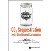 CO2 Sequestration by Ex-Situ Mineral Carbonation - Hardcover