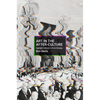 Art in the After-Culture: Capitalist Crisis and Cultural Strategy - Paperback