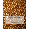 Beekeeping In The South: A Handbook on Seasons, Methods and Honey Flora of the Fifteen Southern States - Paperback
