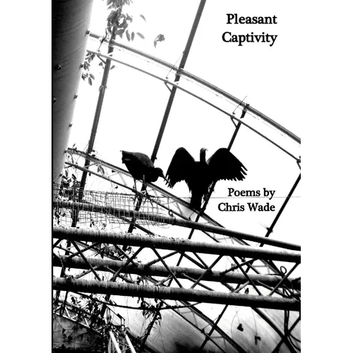 Pleasant Captivity - Paperback