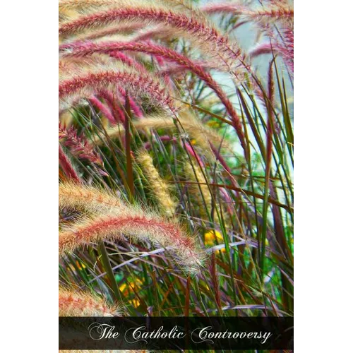 The Catholic Controversy - Paperback