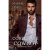 Corporate Cowboy - Paperback