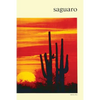 Saguaro: National Monument - Paperback