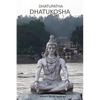 Dhatupatha Dhatukosha - Paperback