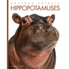 Hippopotamuses - Paperback