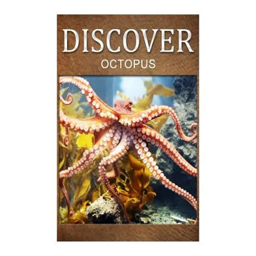 Octopus - Discover: Early reader's wildlife photography book - Paperback