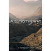 Missing The Way: "They Could Not Enter In" How Israel Missed God's Rest - Paperback
