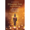 Stealing Fire from the Gods - Paperback