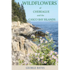 Wildflowers of Chebeague and the Casco Bay Islands - Paperback