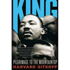 King: Pilgrimage to the Mountaintop - Paperback