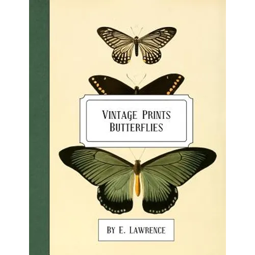 Vintage Prints: Butterflies - Paperback