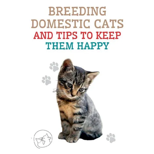 Breeding Domestic Cats and Tips to Keep Them Happy - Paperback