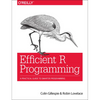 Efficient R Programming: A Practical Guide to Smarter Programming - Paperback