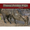 Those Pesky Pigs: Javelinas making themselves at home A photographic study - Paperback