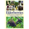 Elderberries: The Beginner's Guide to Foraging, Preserving and Using Elderberries for Health Remedies, Recipes, Drinks & More - Paperback