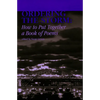 Ordering the Storm: How to Put Together a Book of Poems - Paperback